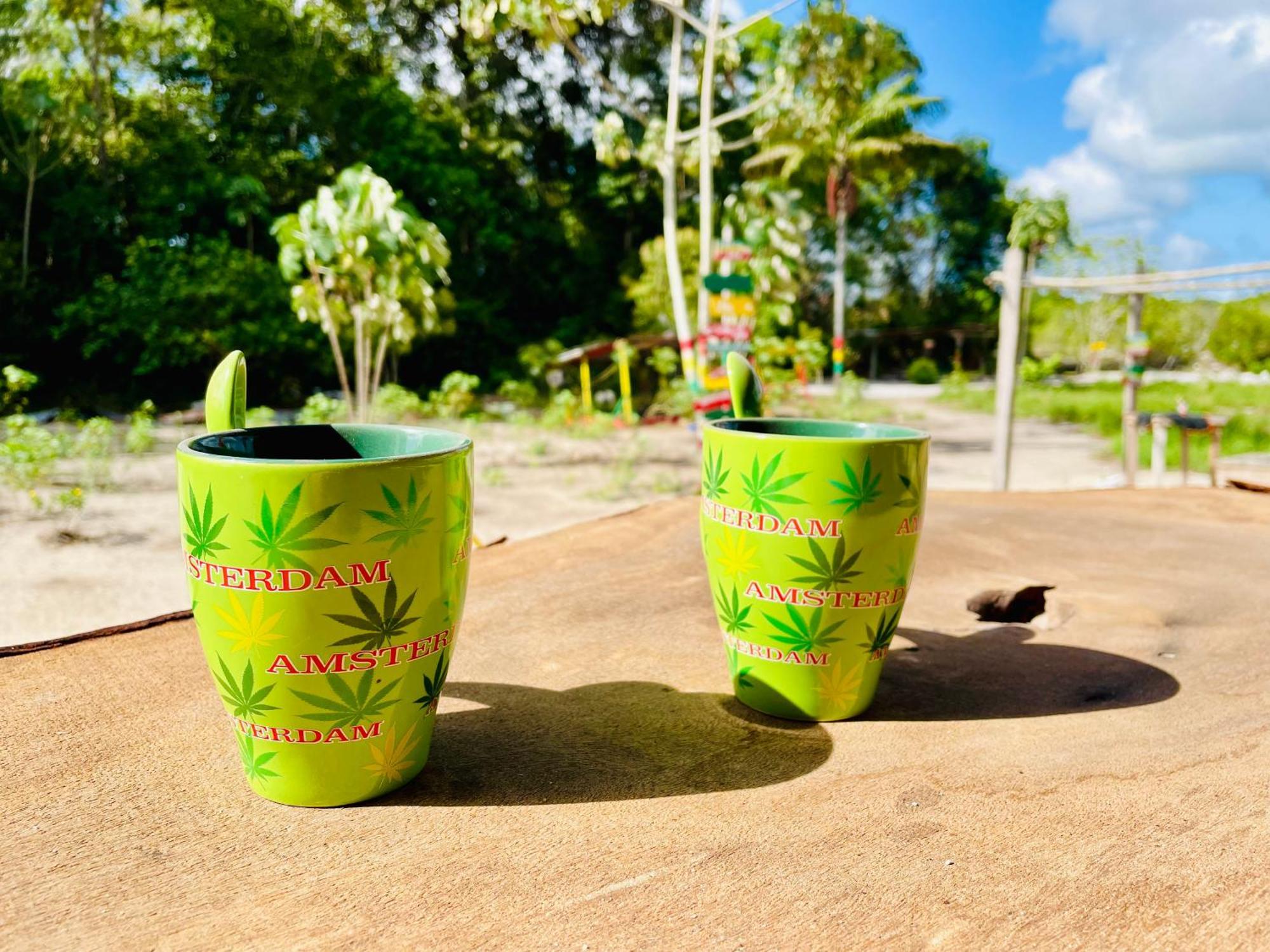 Land Of Promise - Reggae Bar & Eco Village Zanderij Kültér fotó