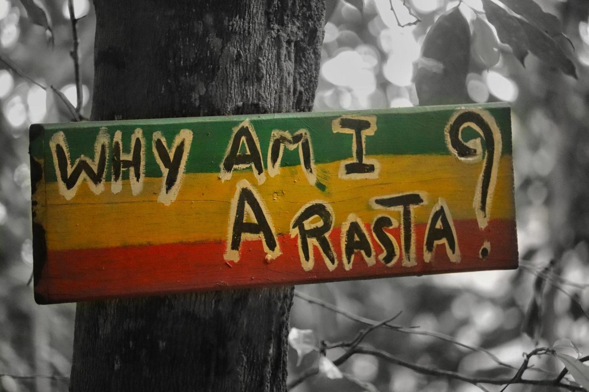 Land Of Promise - Reggae Bar & Eco Village Zanderij Kültér fotó